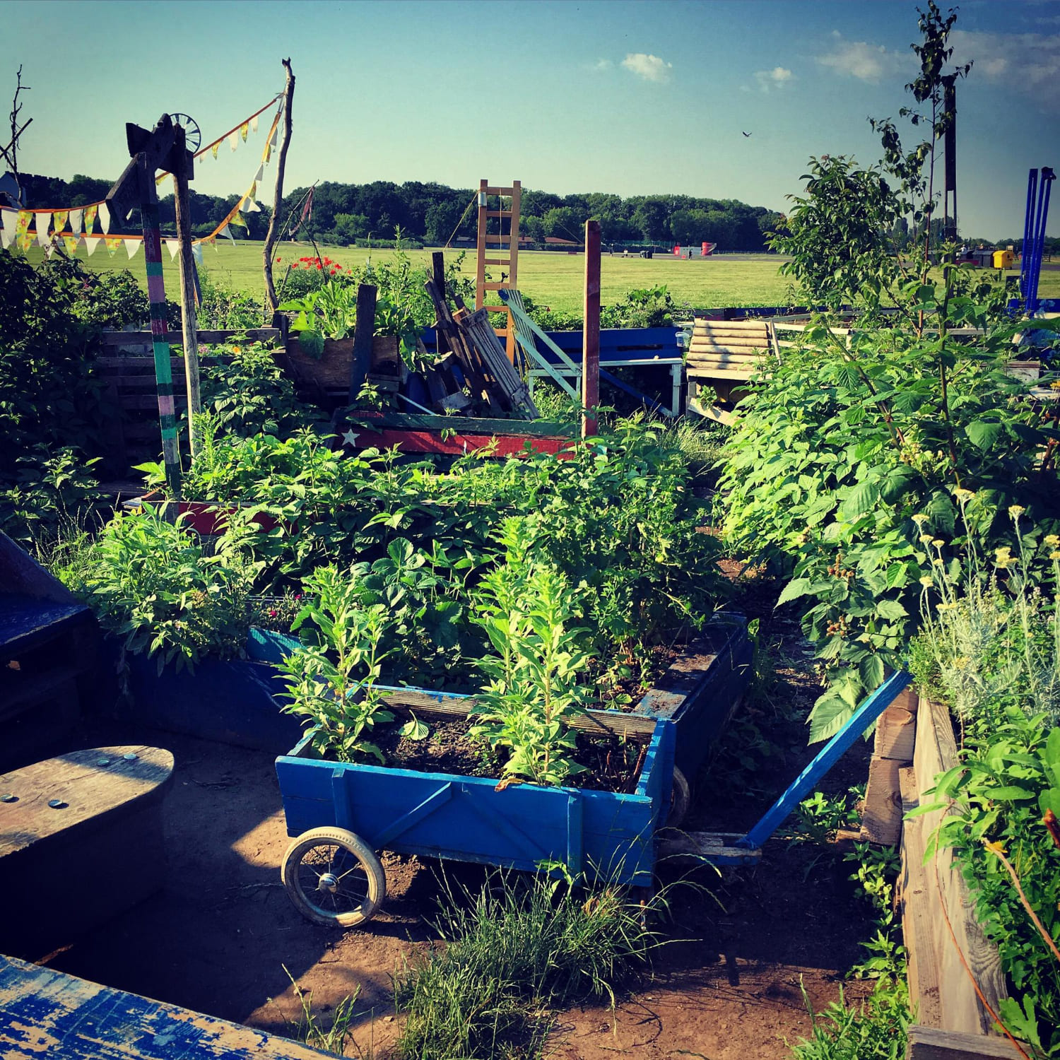 Créer un jardin en permaculture