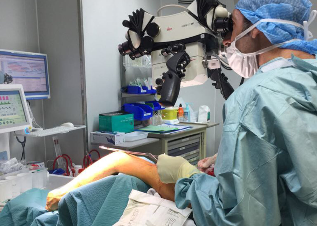 Docteur Frédéric Teboul : Chirurgie de la Main et Plexus Brachial - Expertise et Innovation